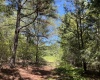 Abbeville County, ,Land,Active,1185