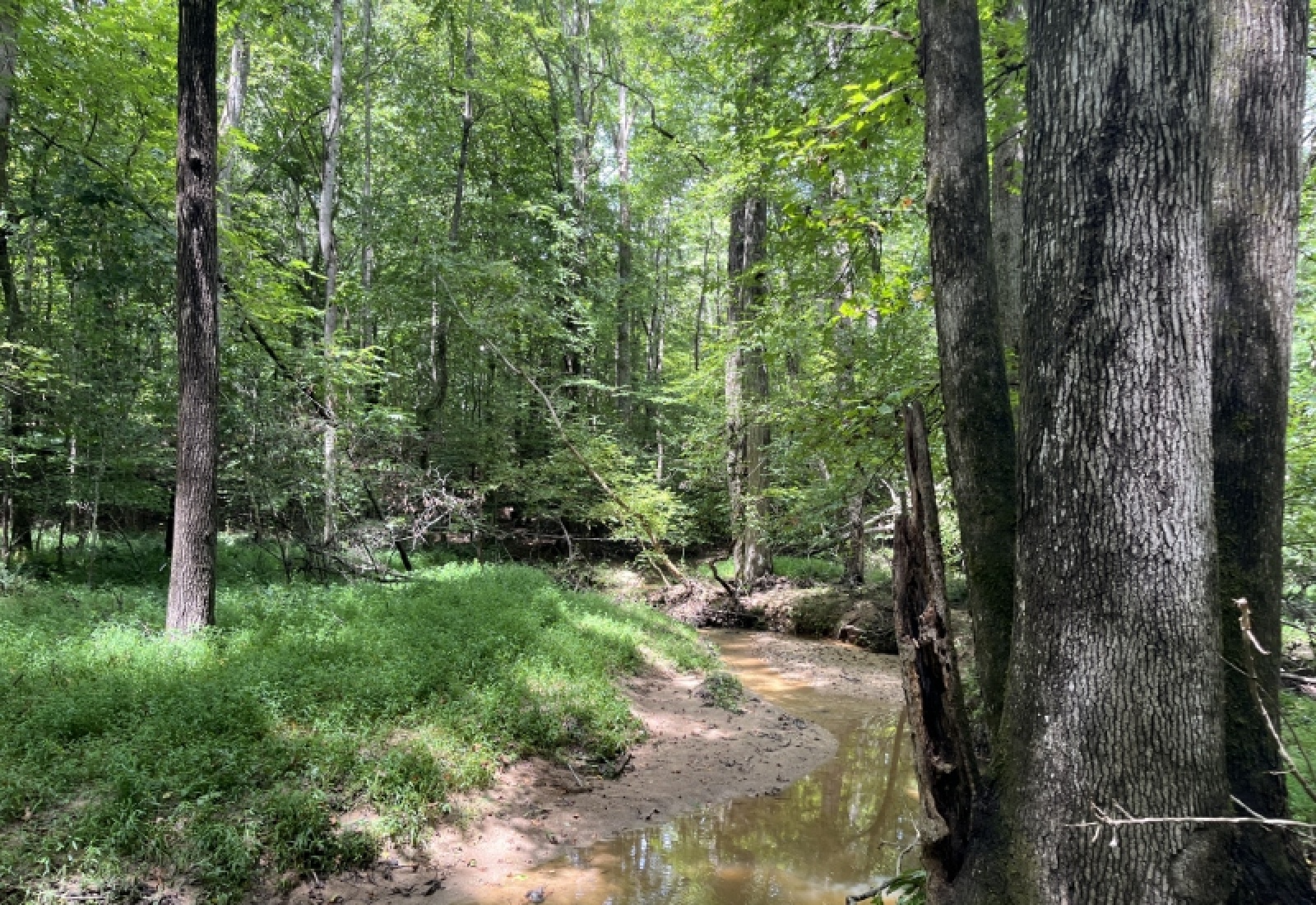 Abbeville County, ,Land,Active,1185