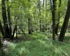 Abbeville County, ,Land,Active,1185