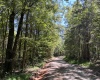 Abbeville County, ,Land,Active,1185