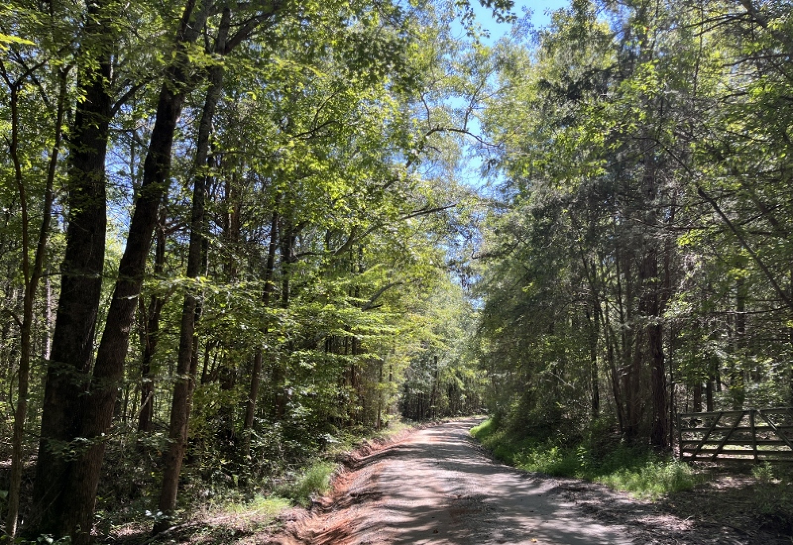 Abbeville County, ,Land,Active,1185