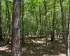 Abbeville County, ,Land,Active,1185