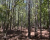 Abbeville County, ,Land,Active,1185