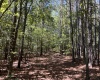 Abbeville County, ,Land,Active,1185