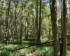 Abbeville County, ,Land,Active,1185