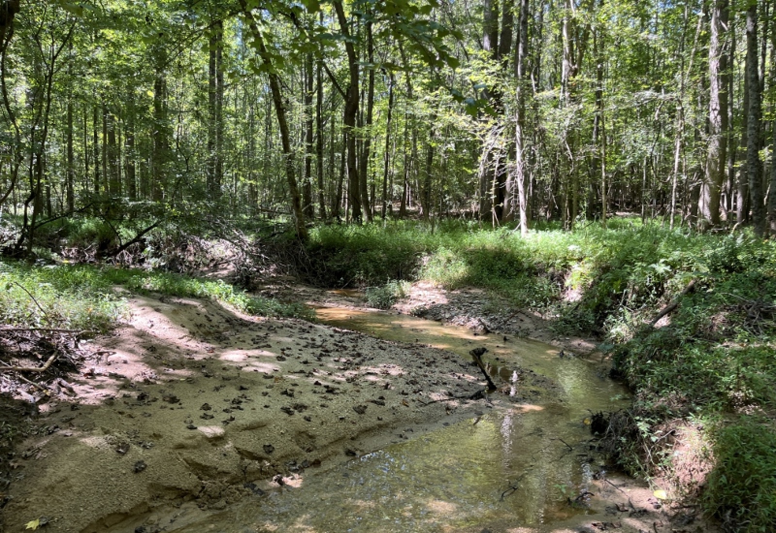 Abbeville County, ,Land,Active,1185