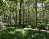 Abbeville County, ,Land,Active,1185