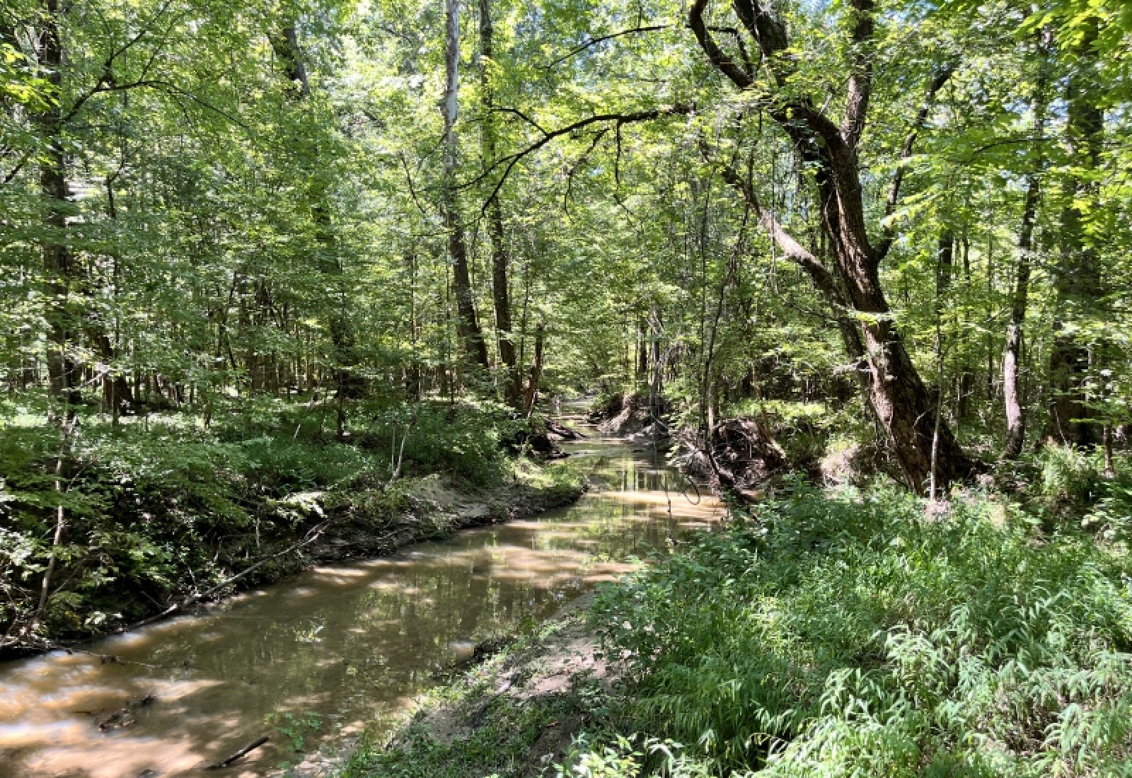 McCormick County, ,Land,Active,1186