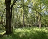McCormick County, ,Land,Active,1186