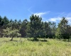 McCormick County, ,Land,Active,1186