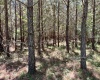 McCormick County, ,Land,Active,1186