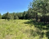 McCormick County, ,Land,Active,1186