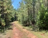 McCormick County, ,Land,Active,1186