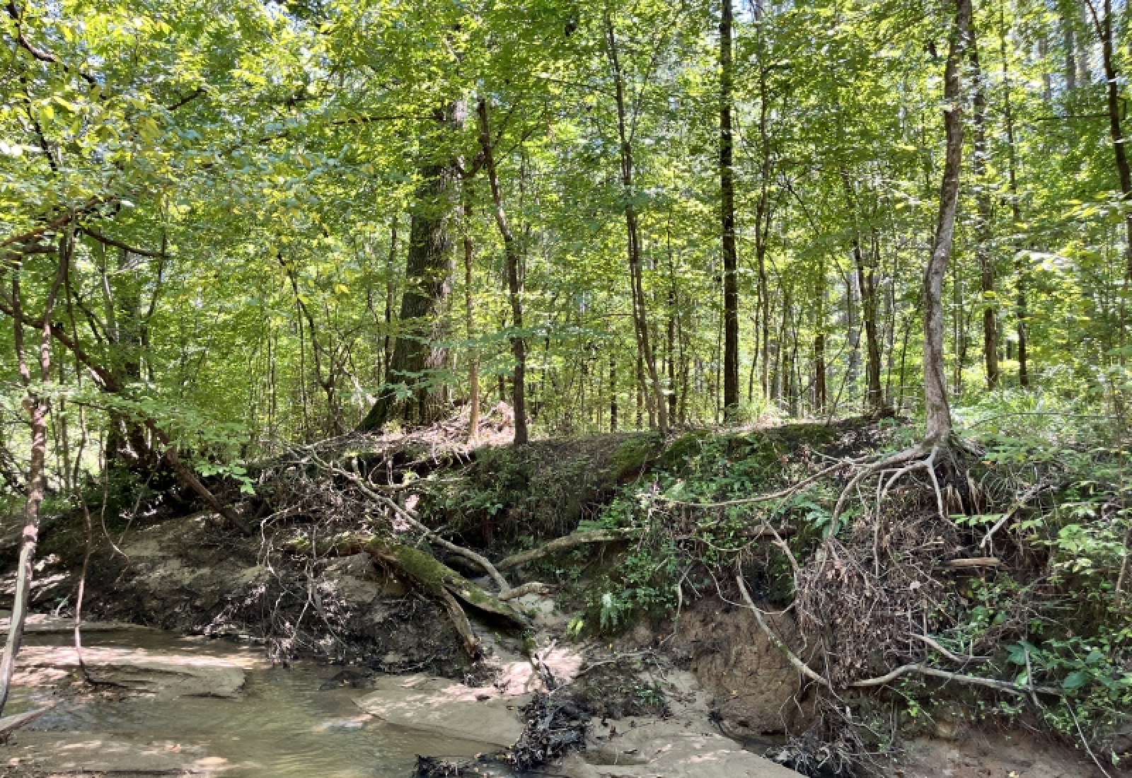 McCormick County, ,Land,Active,1186
