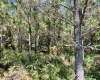 McCormick County, ,Land,Active,1186