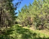 McCormick County, ,Land,Active,1186