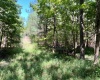 McCormick County, ,Land,Active,1186