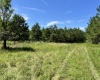 McCormick County, ,Land,Active,1186