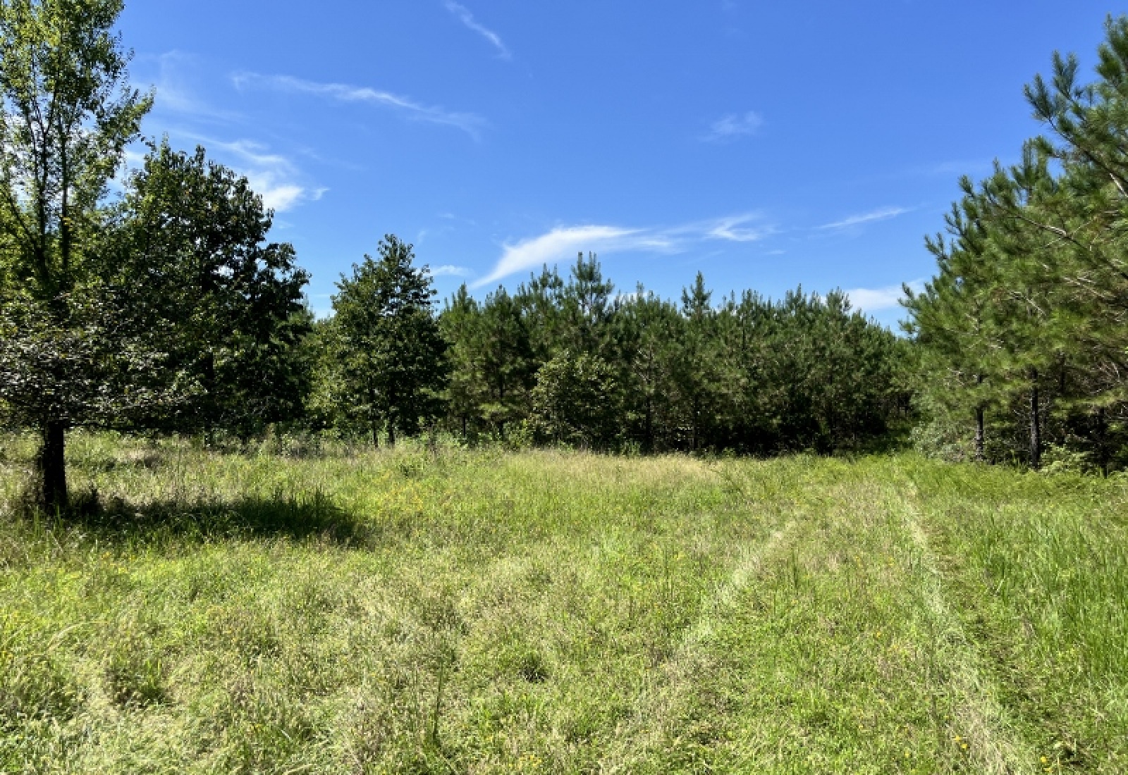 McCormick County, ,Land,Active,1186