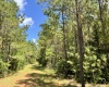 McCormick County, ,Land,Active,1186