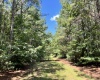 McCormick County, ,Land,Active,1186