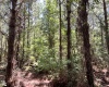 McCormick County, ,Land,Active,1186