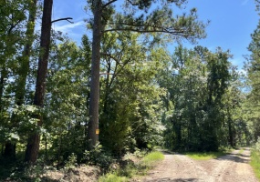 McCormick County, 0 , 0 ,0,Land,Active,0,1188 McCormick County, 0 , 0 ,0,Land,Active,0,1188