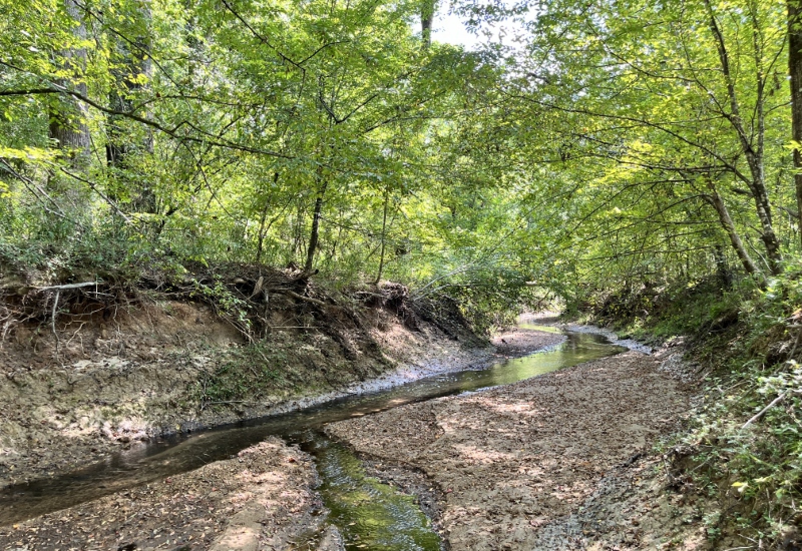 McCormick County, ,Land,Active,1188