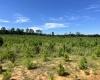 McCormick County, ,Land,Active,1188