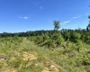 McCormick County, ,Land,Active,1188