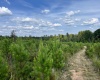 McCormick County, ,Land,Active,1188