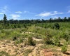 McCormick County, ,Land,Active,1188