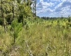 McCormick County, ,Land,Active,1188