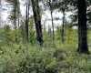 McCormick County, ,Land,Active,1188
