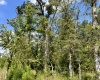 McCormick County, ,Land,Active,1188