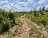 McCormick County, ,Land,Active,1188