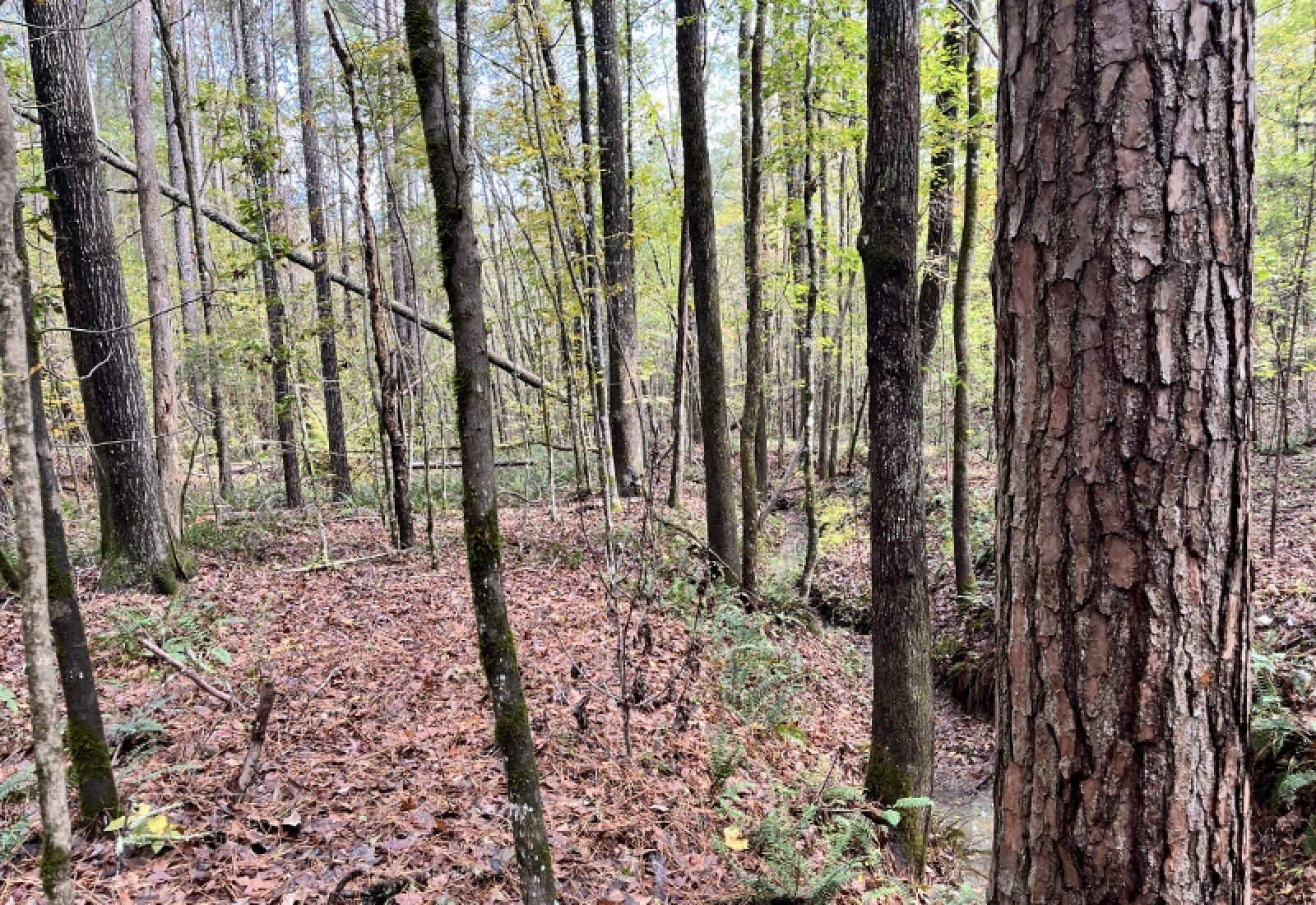 McCormick County, 0 , 0 ,0,Land,Active,0,1190