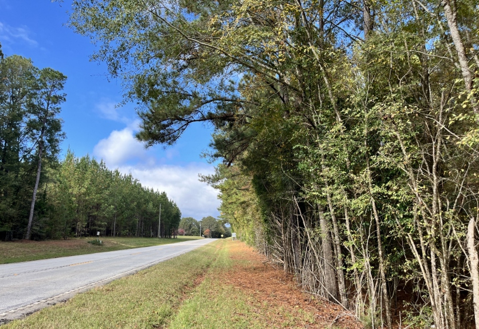 McCormick County, 0 , 0 ,0,Land,Active,0,1190