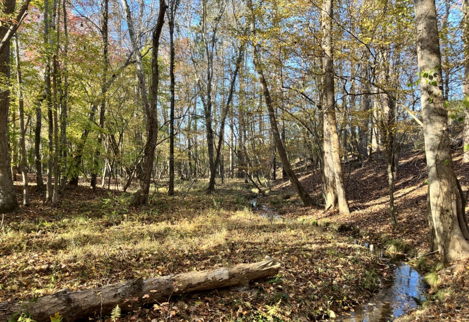 Union County, 0 , 0 ,0,Land,Active,0,1192 Union County, 0 , 0 ,0,Land,Active,0,1192