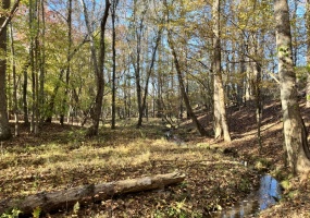 Union County, 0 , 0 ,0,Land,Active,0,1192 Union County, 0 , 0 ,0,Land,Active,0,1192