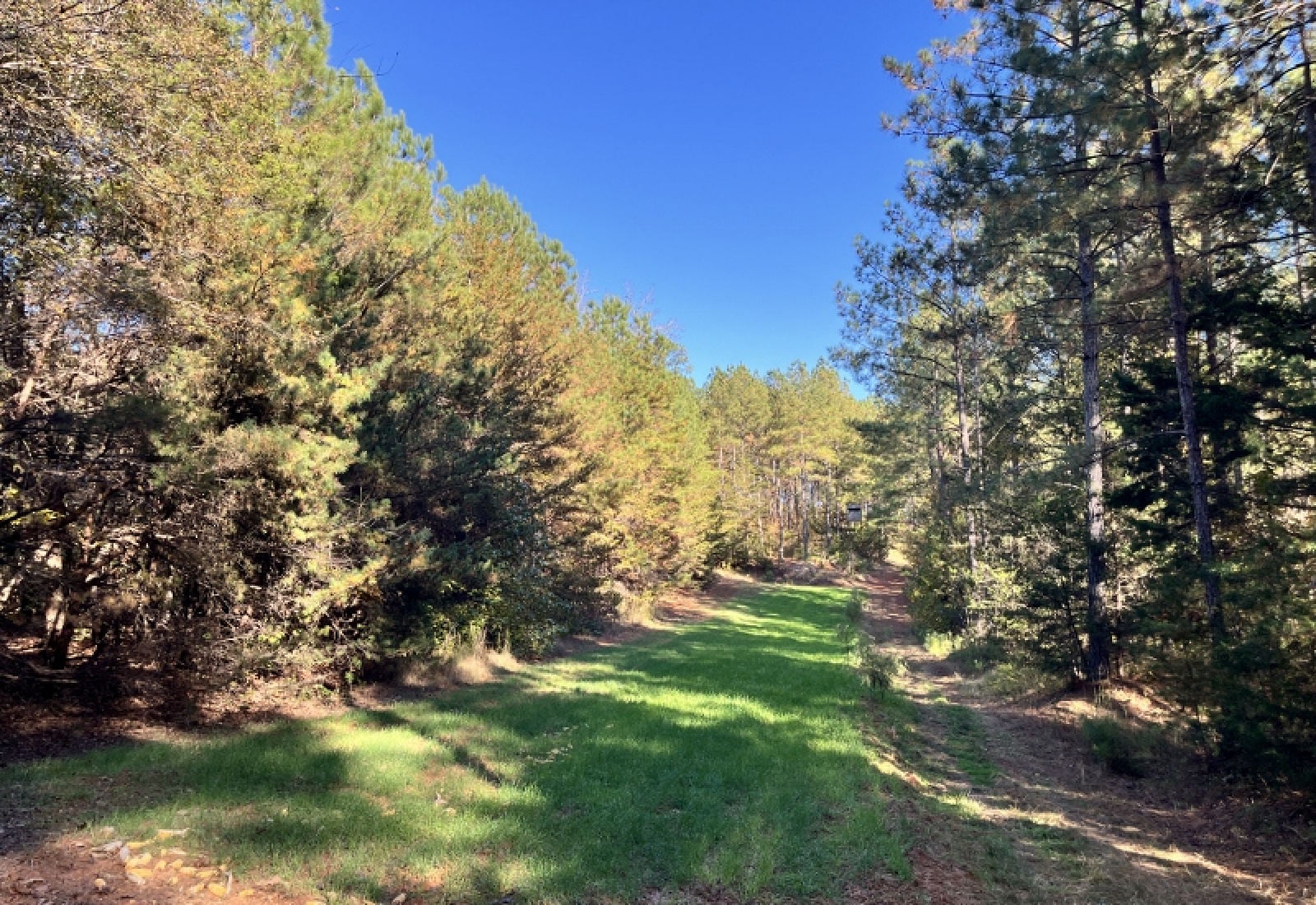 Union County, 0 , 0 ,0,Land,Active,0,1192 Union County, 0 , 0 ,0,Land,Active,0,1192