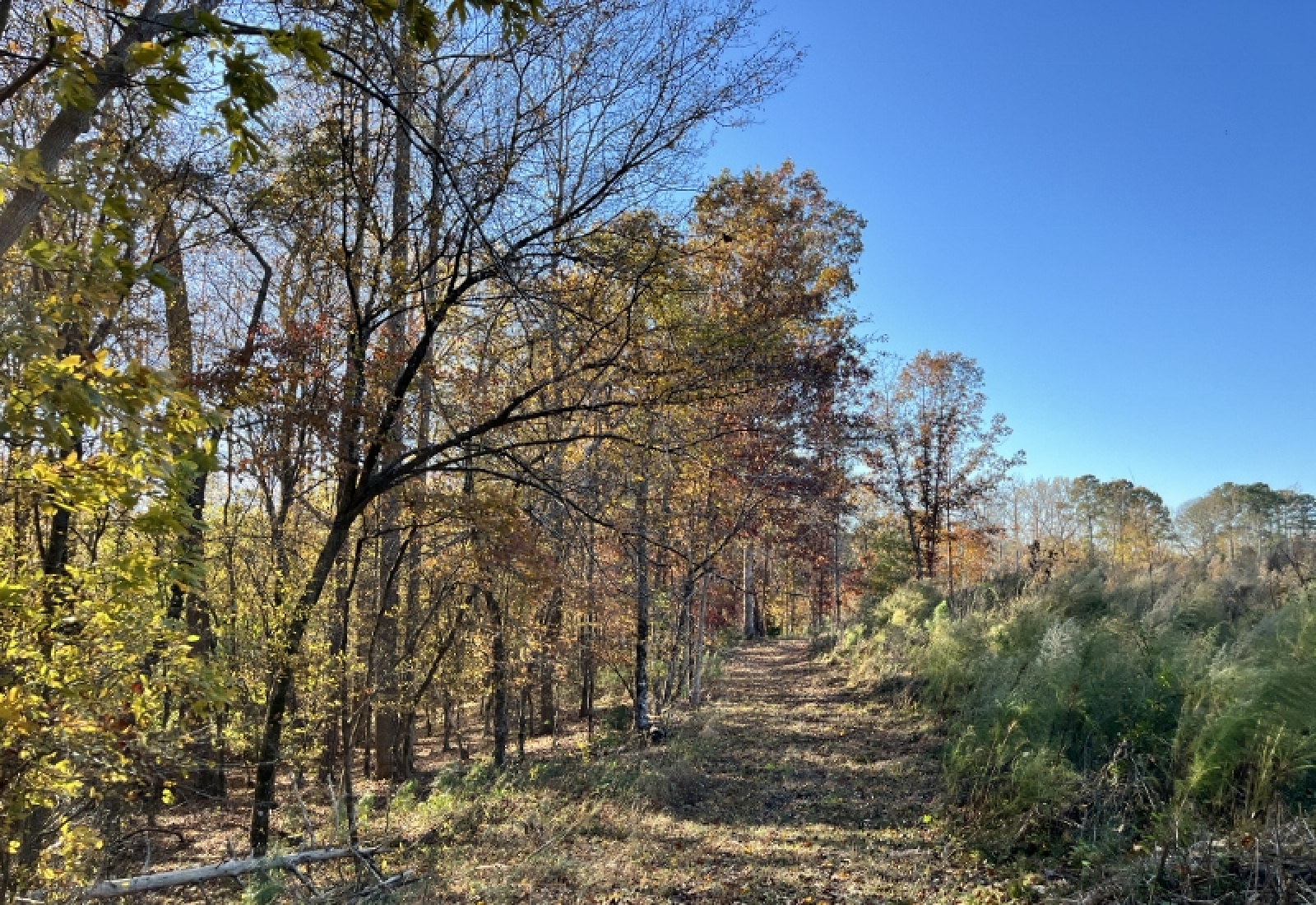 Union County, 0 , 0 ,0,Land,Active,0,1192 Union County, 0 , 0 ,0,Land,Active,0,1192