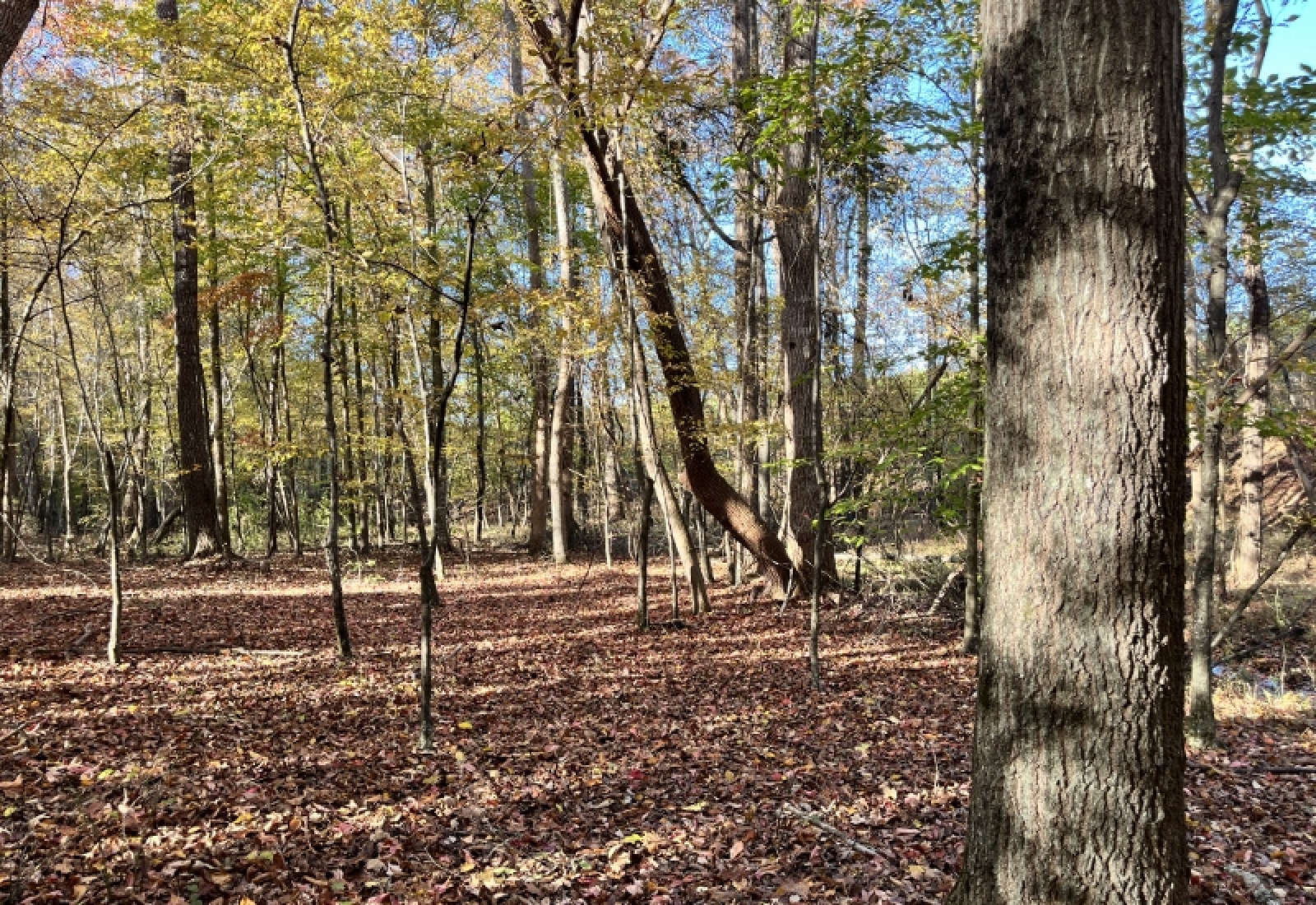 Union County, 0 , 0 ,0,Land,Active,0,1192 Union County, 0 , 0 ,0,Land,Active,0,1192