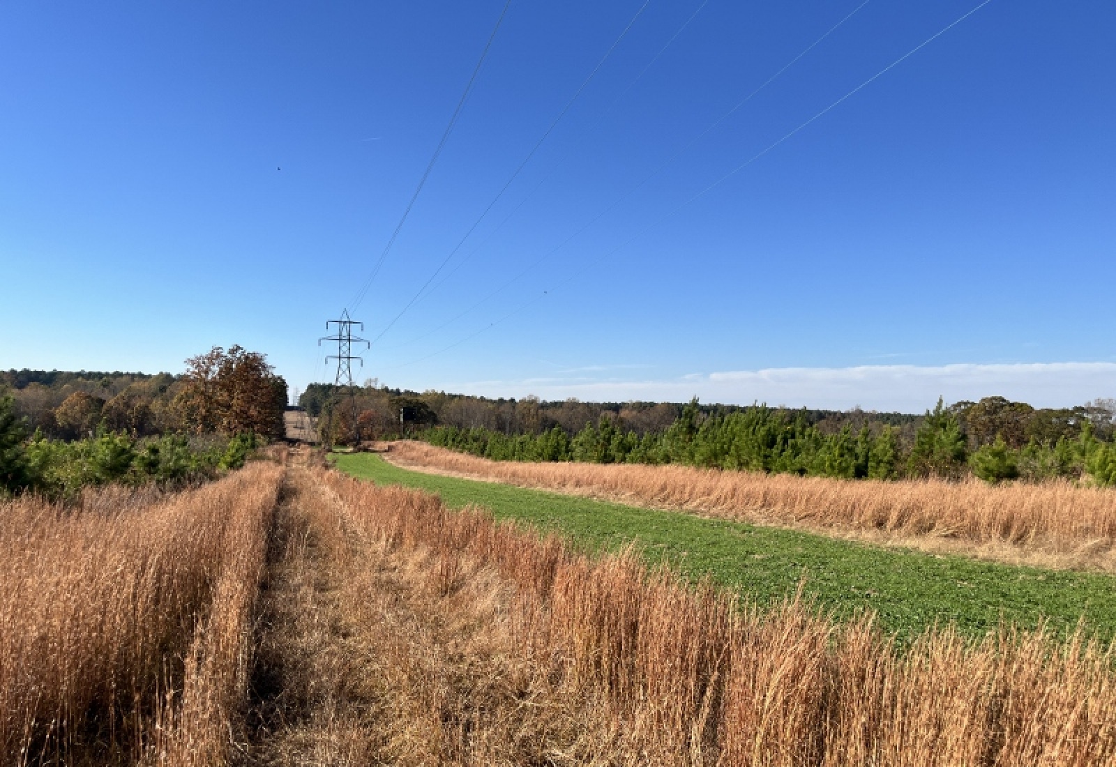 Union County, 0 , 0 ,0,Land,Active,0,1192 Union County, 0 , 0 ,0,Land,Active,0,1192