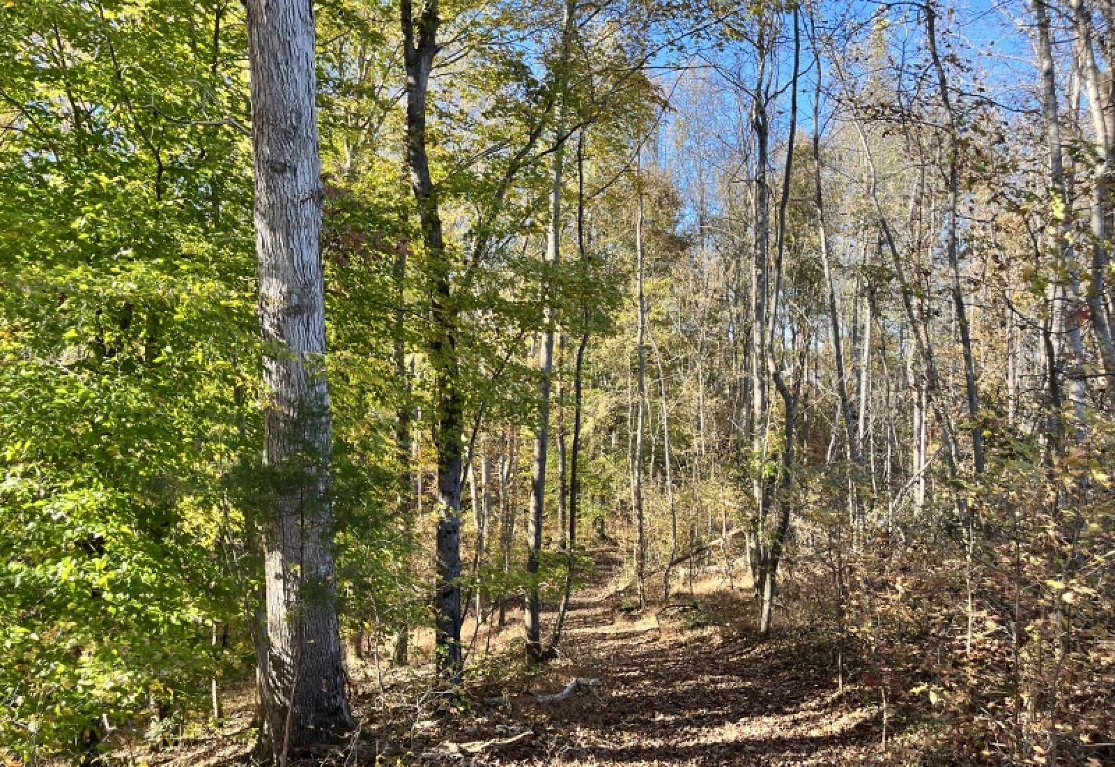 Union County, 0 , 0 ,0,Land,Active,0,1192 Union County, 0 , 0 ,0,Land,Active,0,1192