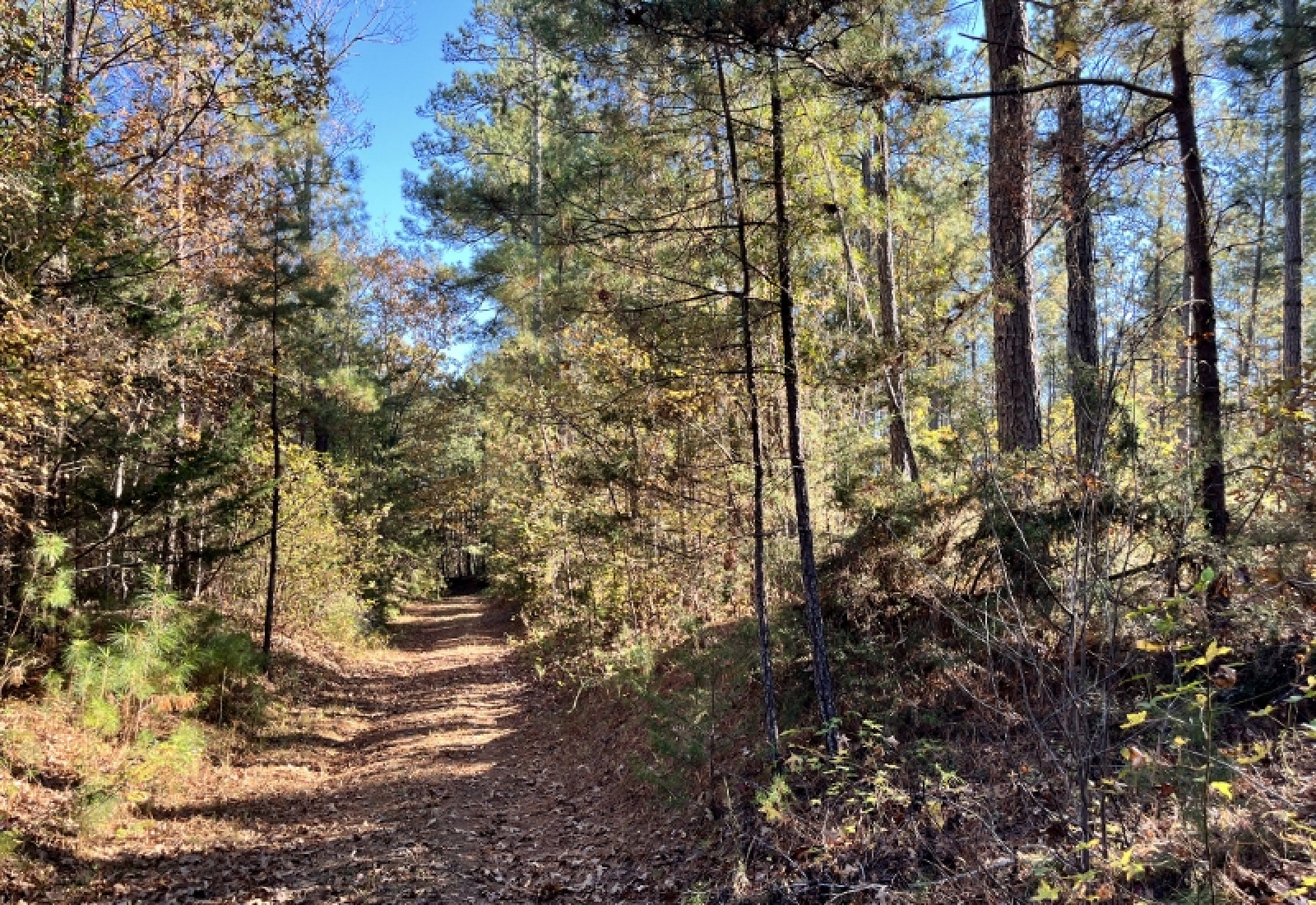 Union County, 0 , 0 ,0,Land,Active,0,1192 Union County, 0 , 0 ,0,Land,Active,0,1192