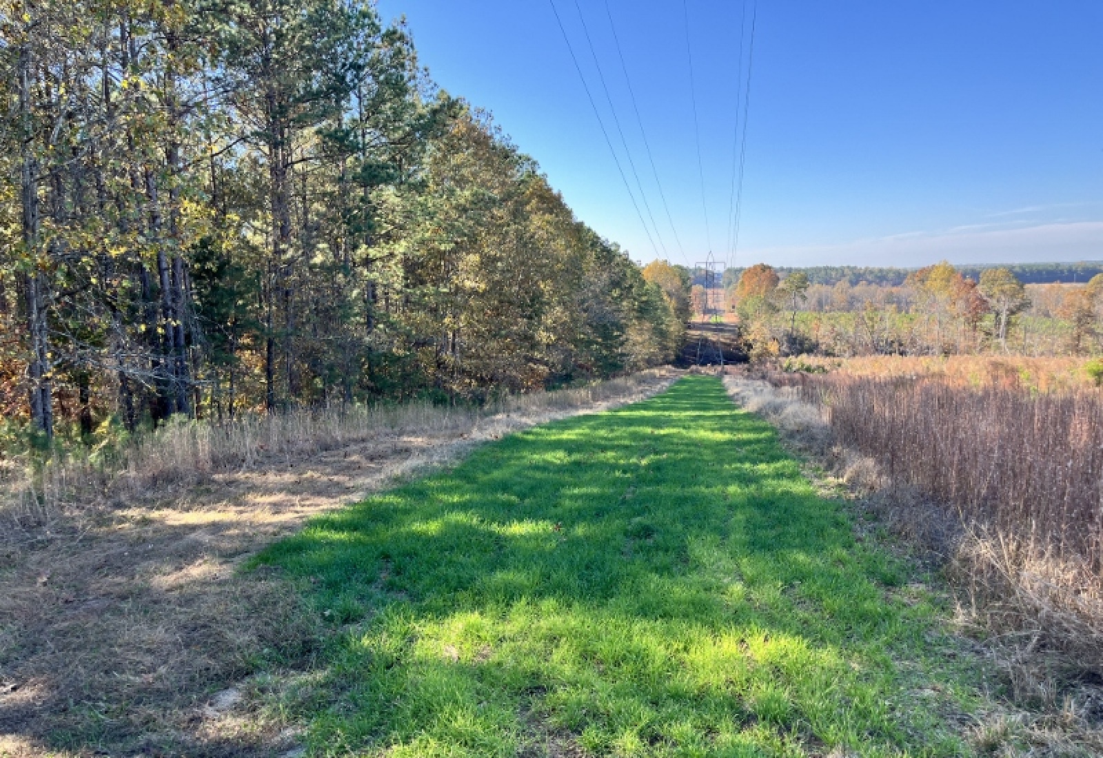 Union County, 0 , 0 ,0,Land,Active,0,1192 Union County, 0 , 0 ,0,Land,Active,0,1192