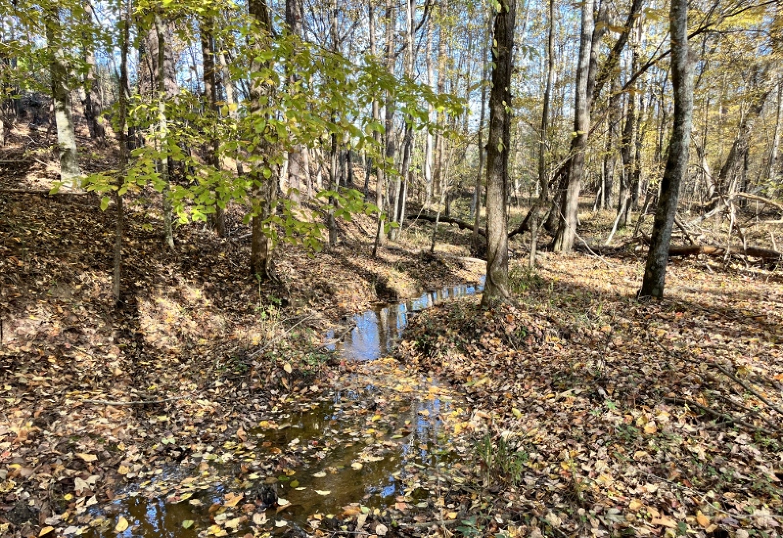 Union County, 0 , 0 ,0,Land,Active,0,1192 Union County, 0 , 0 ,0,Land,Active,0,1192