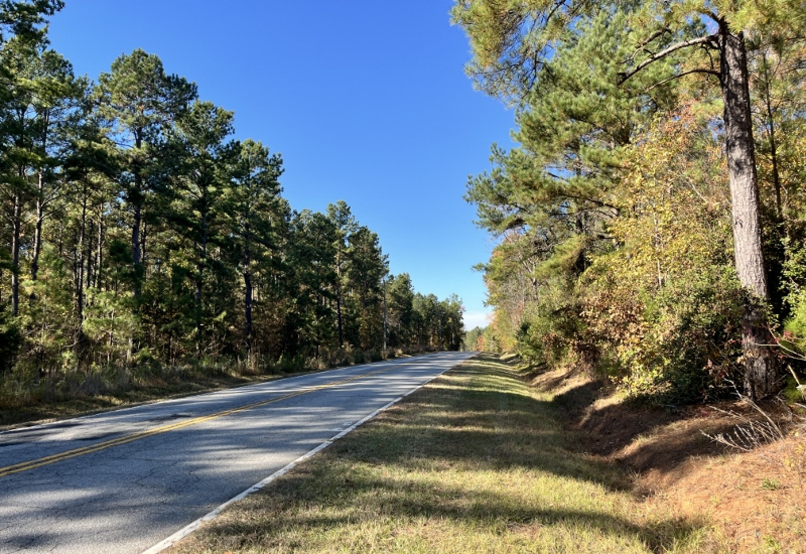 Union County, 0 , 0 ,0,Land,Active,0,1192 Union County, 0 , 0 ,0,Land,Active,0,1192