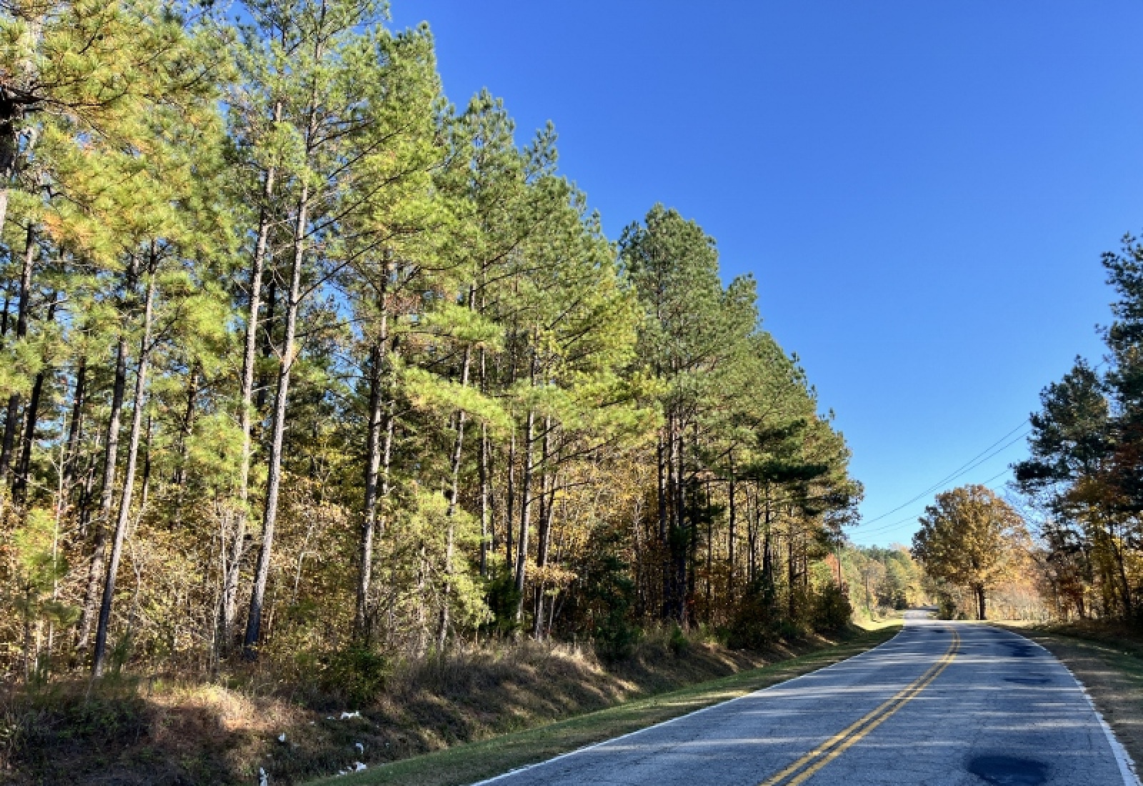 Union County, 0 , 0 ,0,Land,Active,0,1192 Union County, 0 , 0 ,0,Land,Active,0,1192